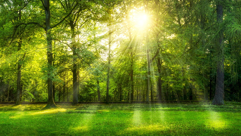 年末年始休業のお知らせ